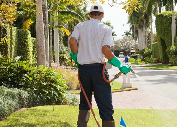 About Ghent MN Pest Control